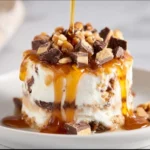 turtle dessert 2025 11 12 031430 150x150 1
