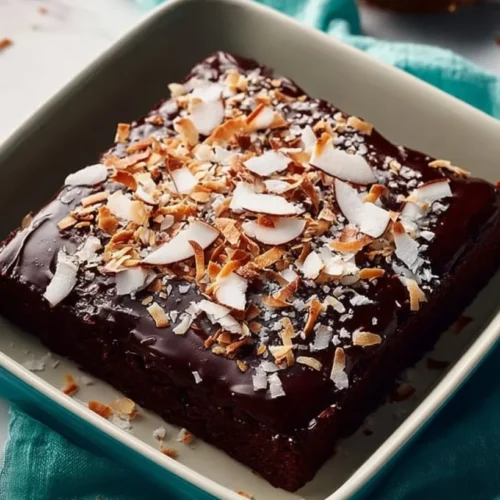 Chocolate Coconut Cake 2 chocolate coconut cake 2026 02 10 214101 819x1024 1